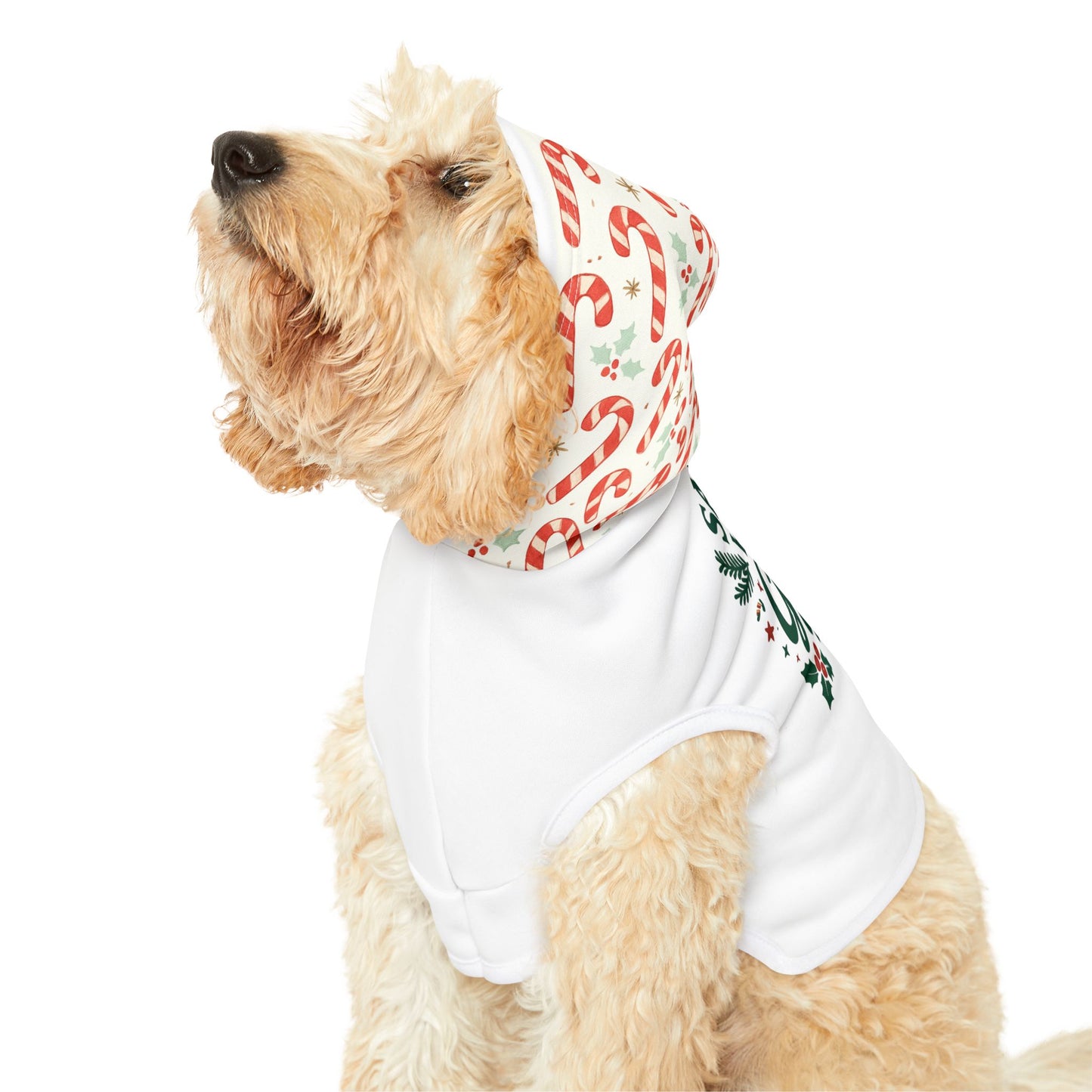 Festive Pet Hoodie for Holiday Cheer