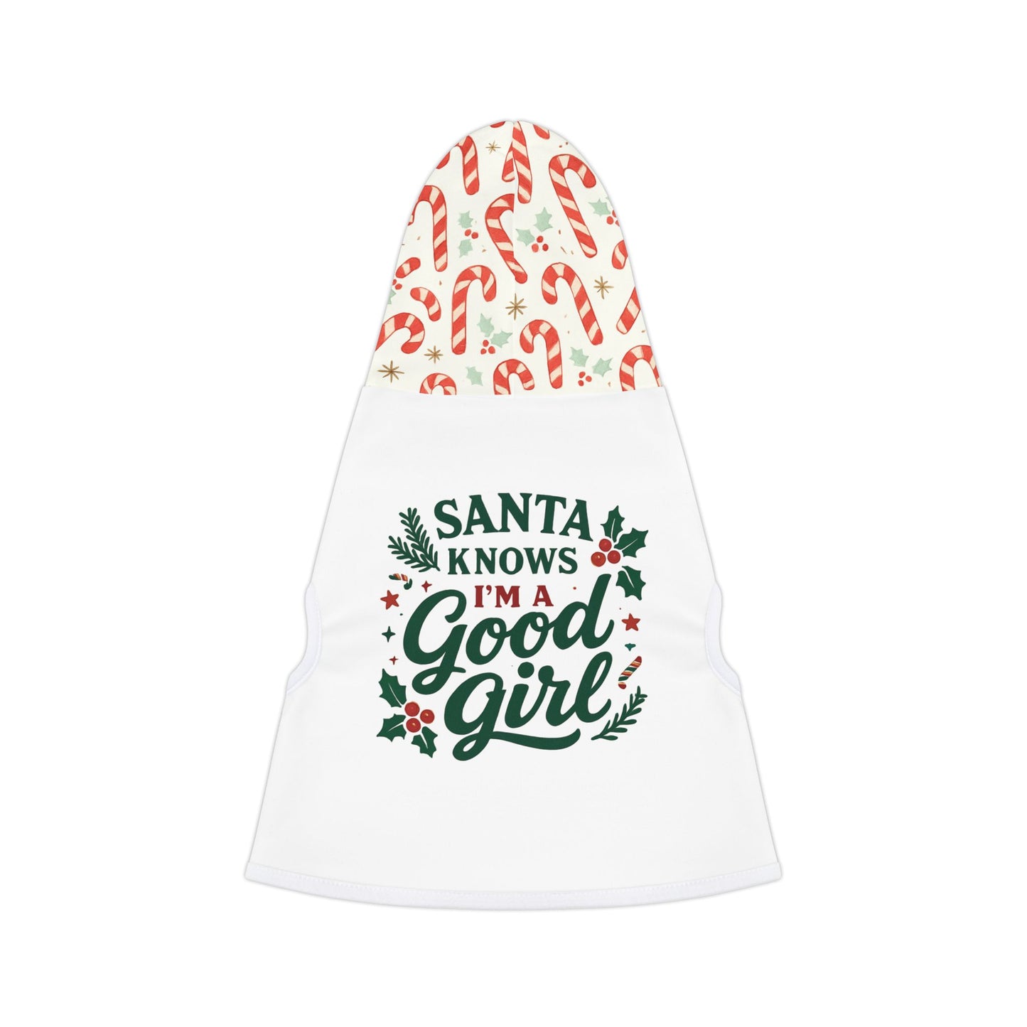 Festive Pet Hoodie for Holiday Cheer