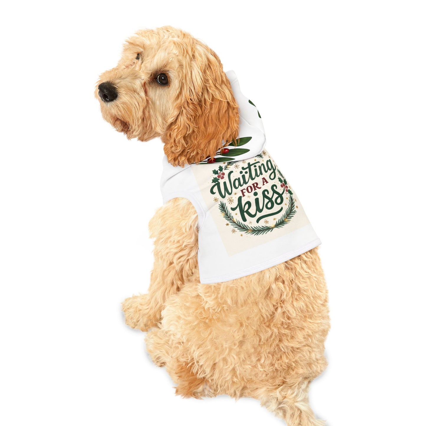 Adorable Holiday Pet Hoodie
