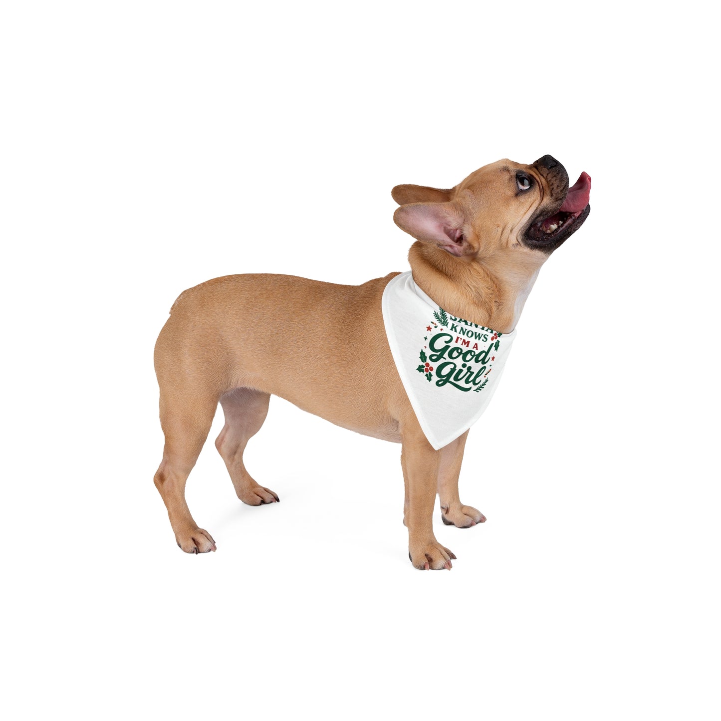Christmas Pet Bandana