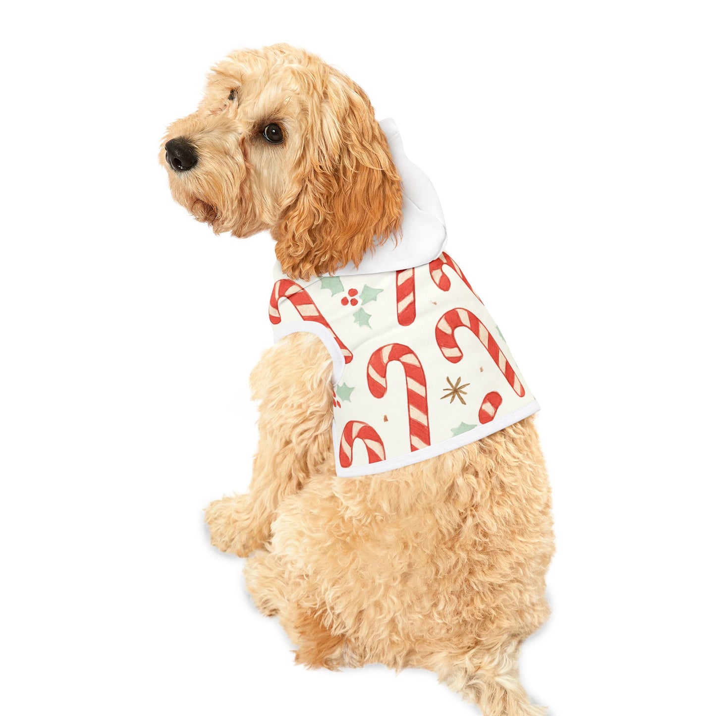 Candy Cane Pet Hoodie