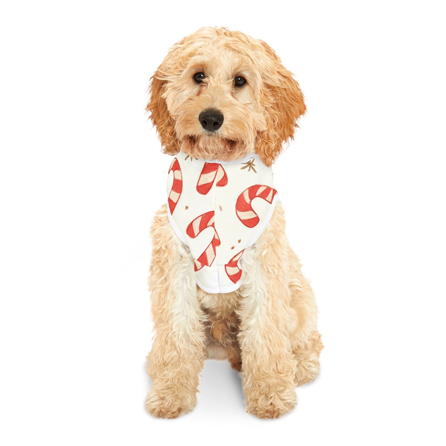 Candy Cane Pet Hoodie