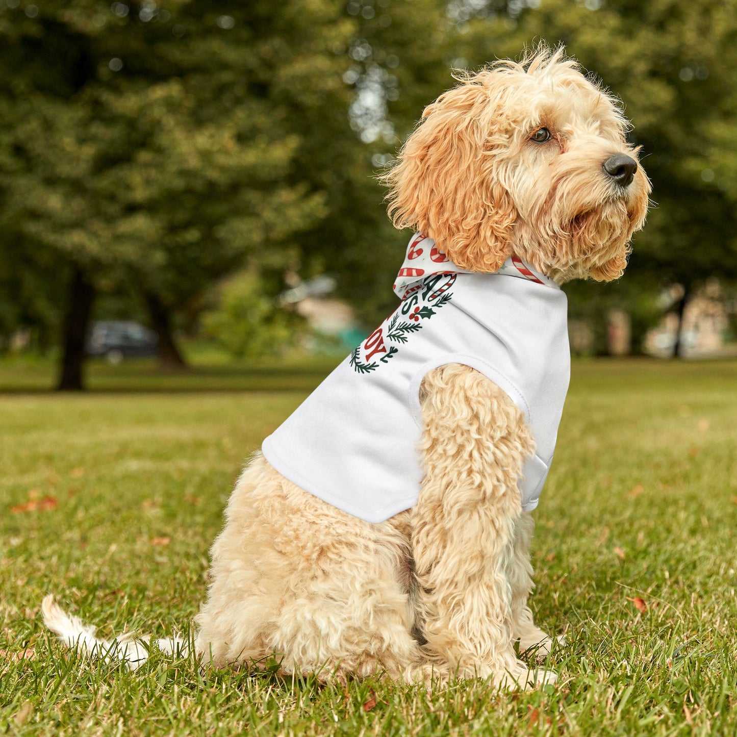 Festive Pet Hoodie for Good Boys