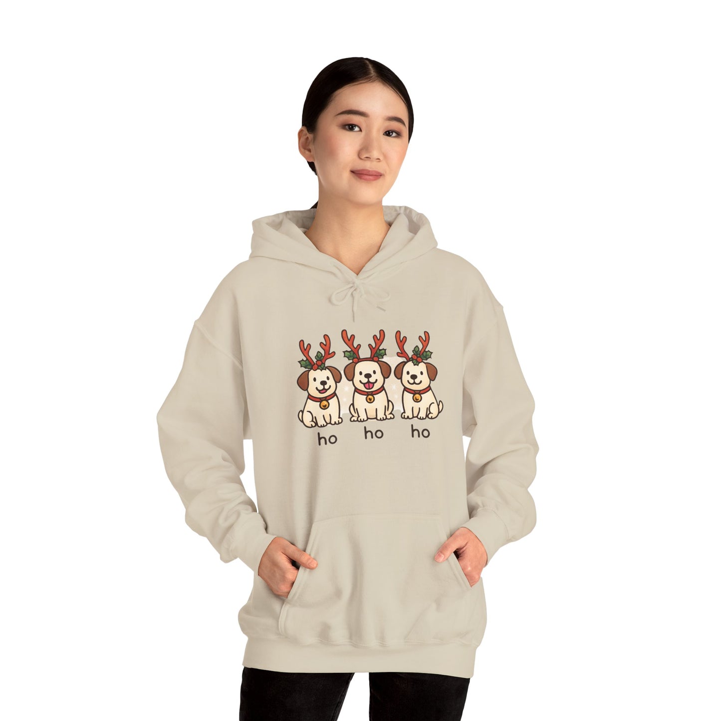 Holiday Hoodie