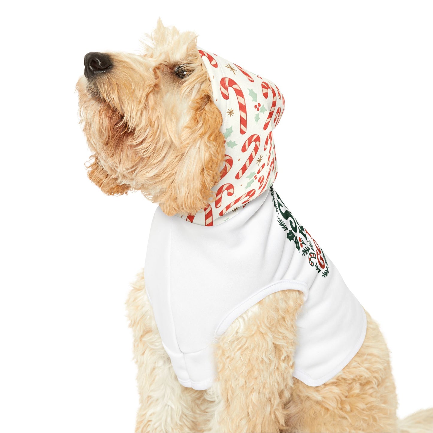 Festive Pet Hoodie for Good Boys