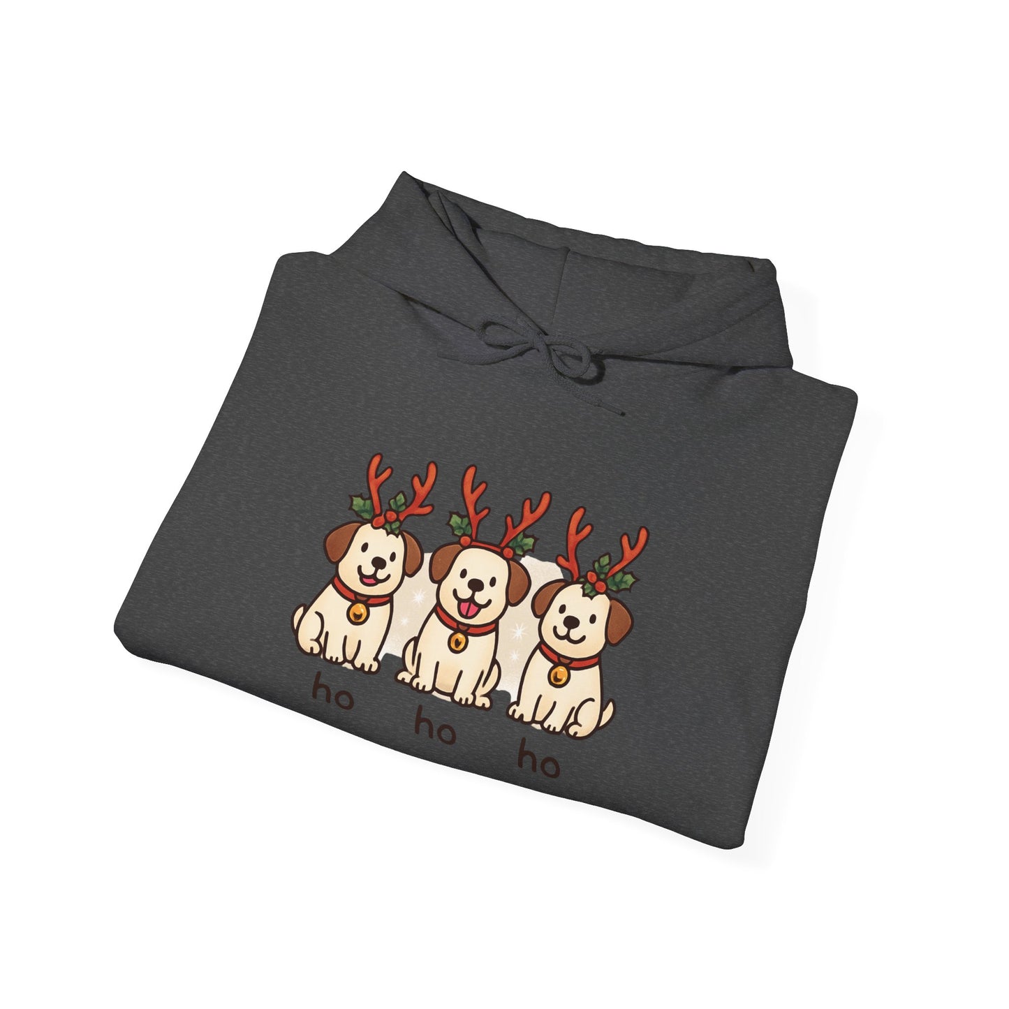 Holiday Hoodie