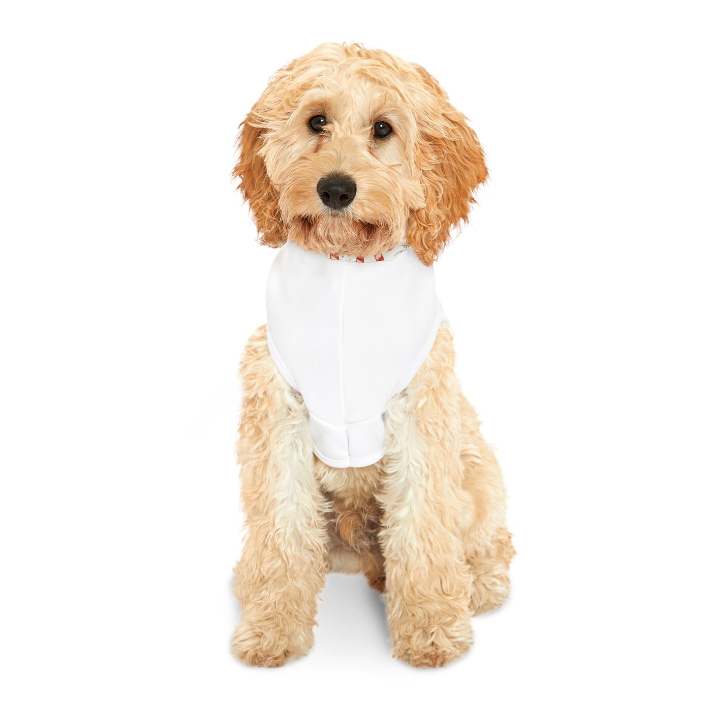 Festive Pet Hoodie for Good Boys