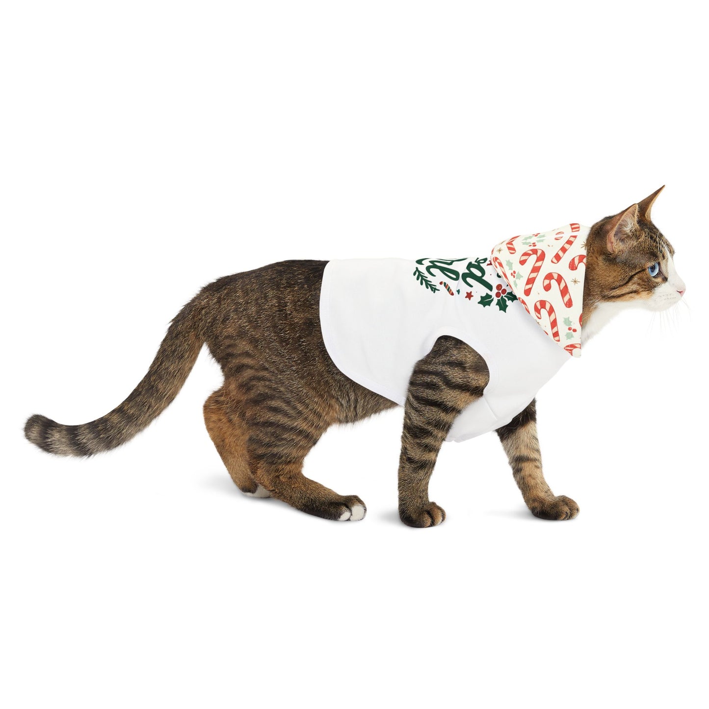 Festive Pet Hoodie for Holiday Cheer
