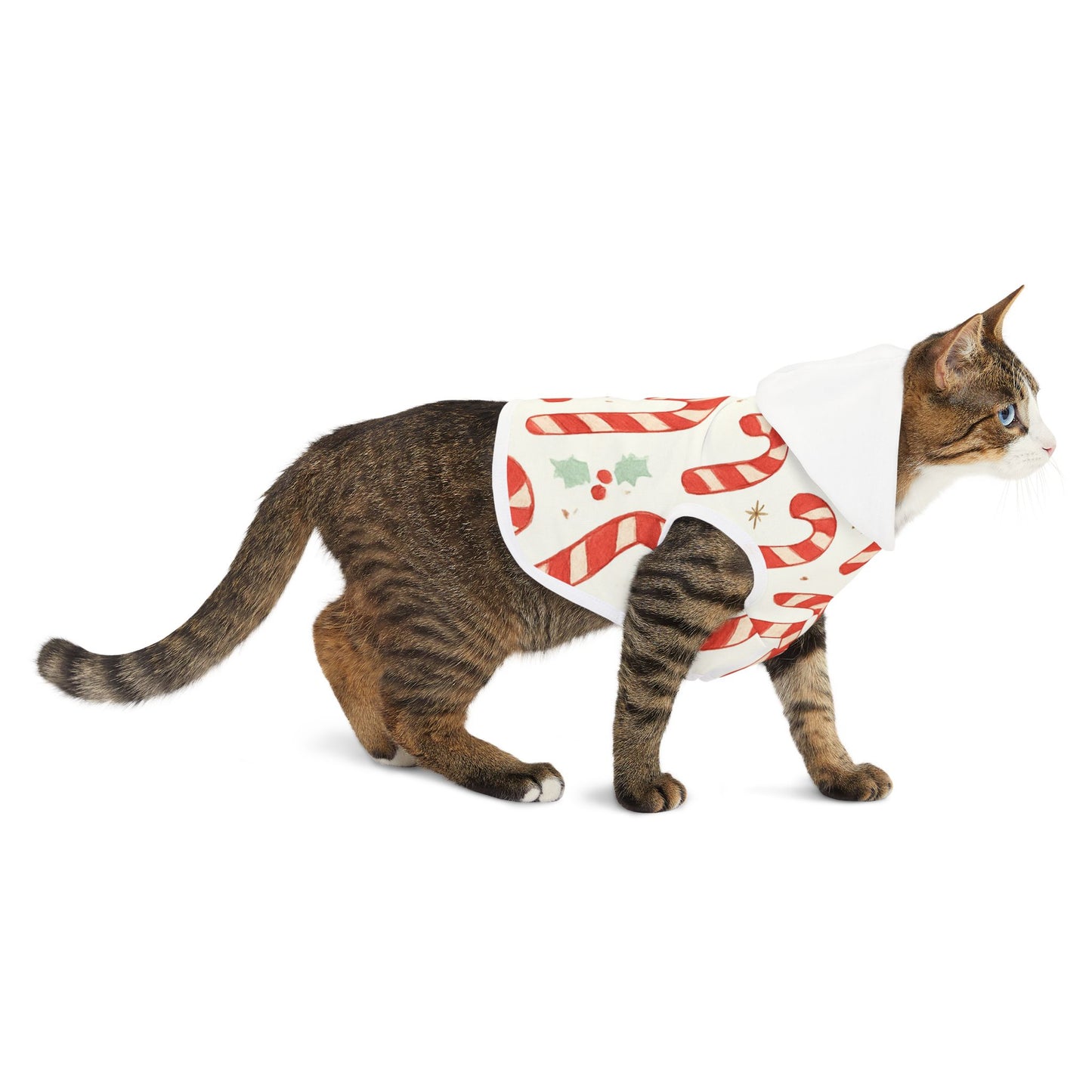 Candy Cane Pet Hoodie