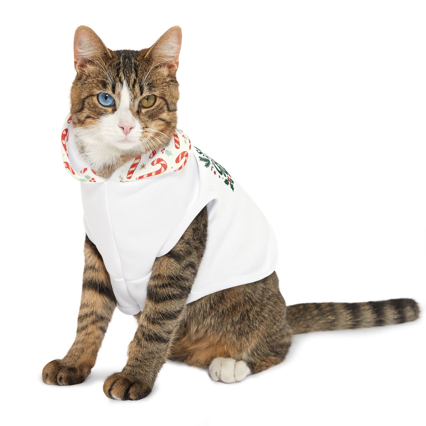 Festive Pet Hoodie for Holiday Cheer