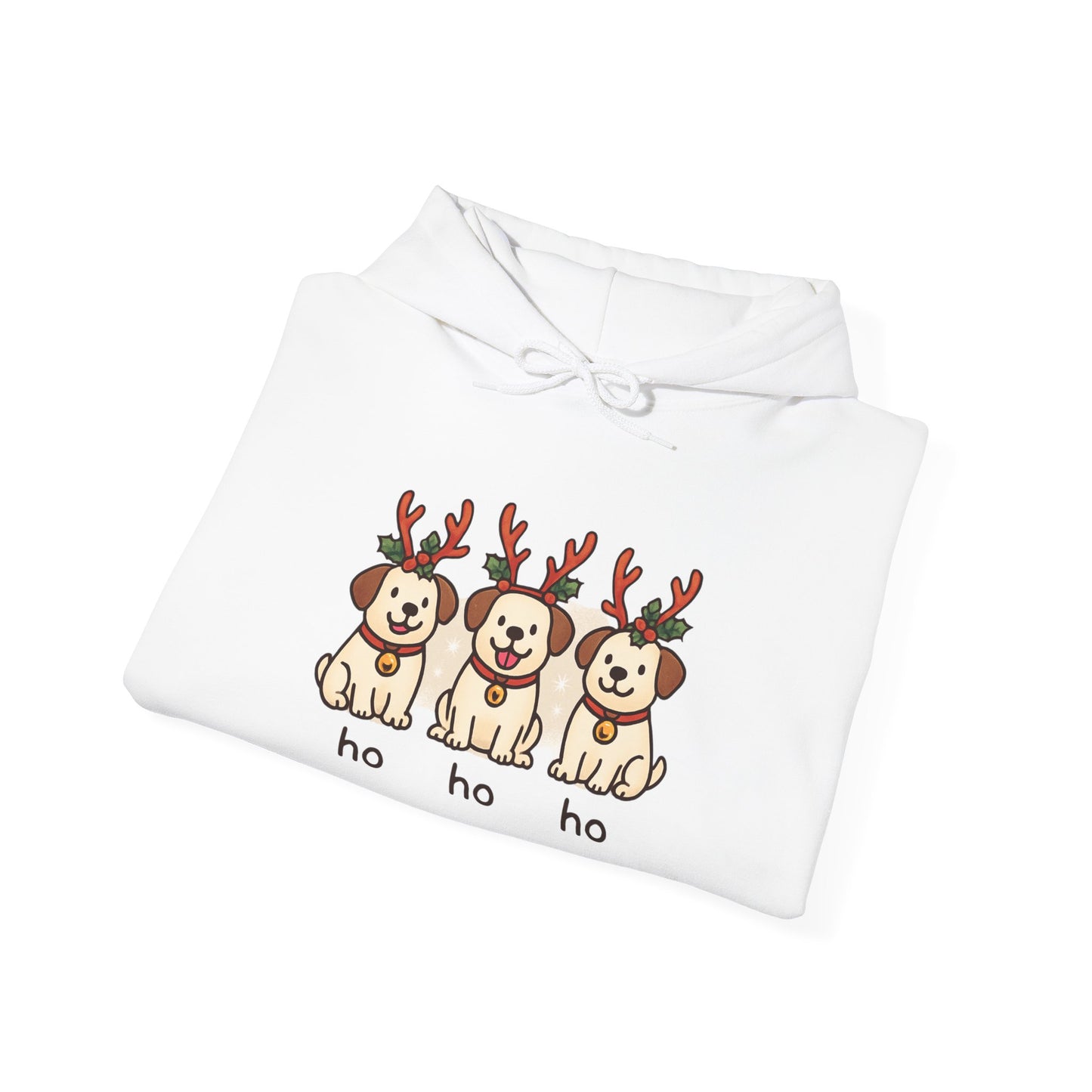 Holiday Hoodie
