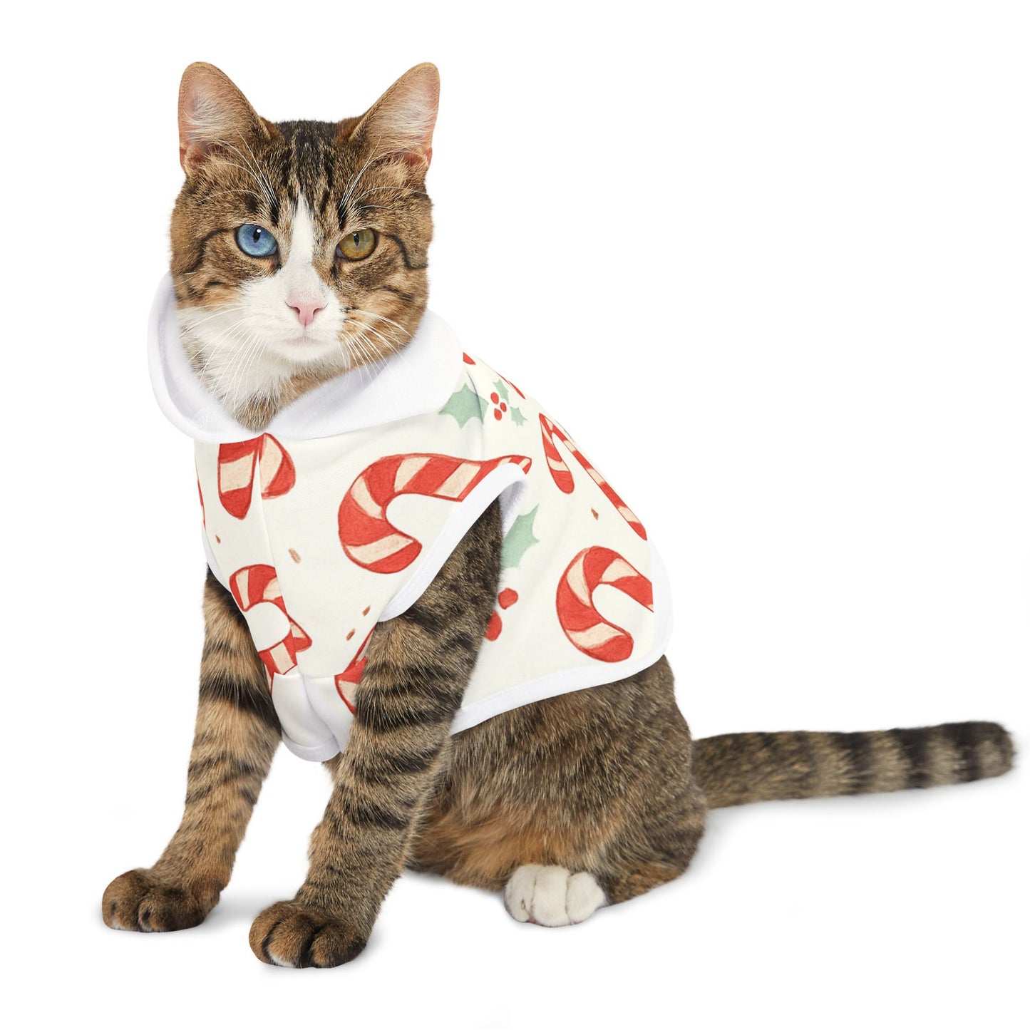 Candy Cane Pet Hoodie