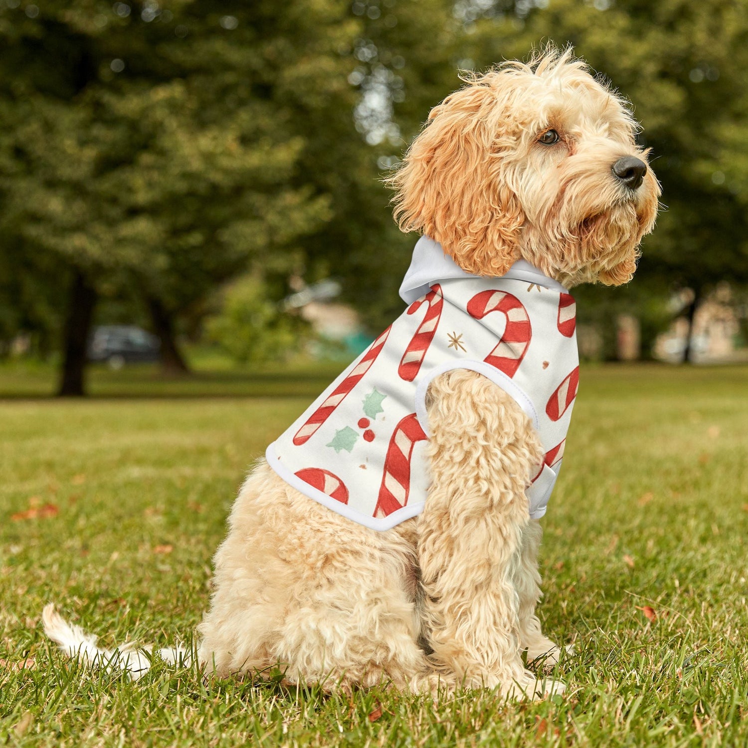 Pet hoodies