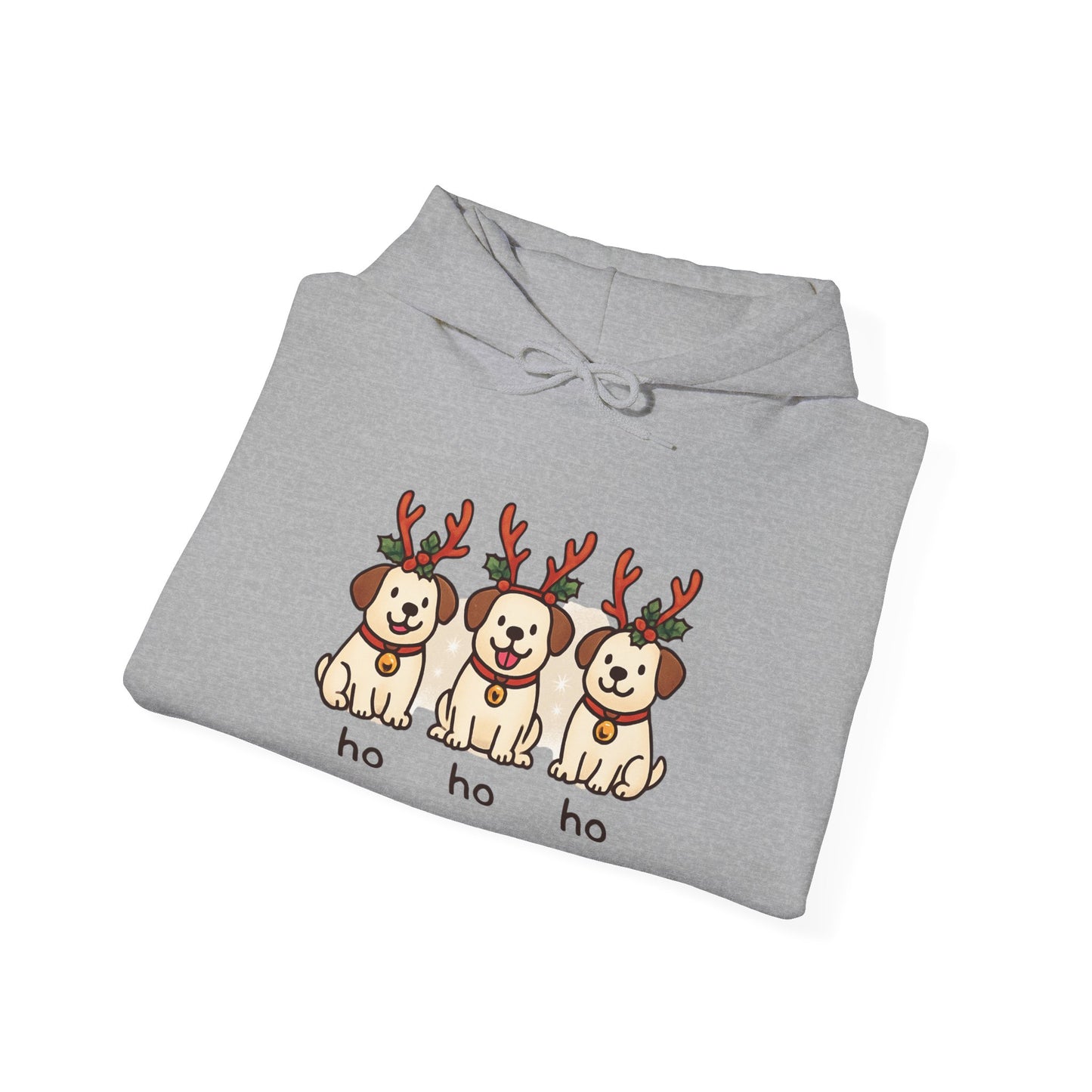 Holiday Hoodie
