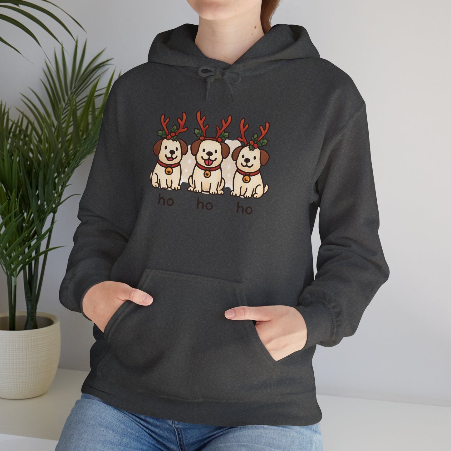 Holiday Hoodie