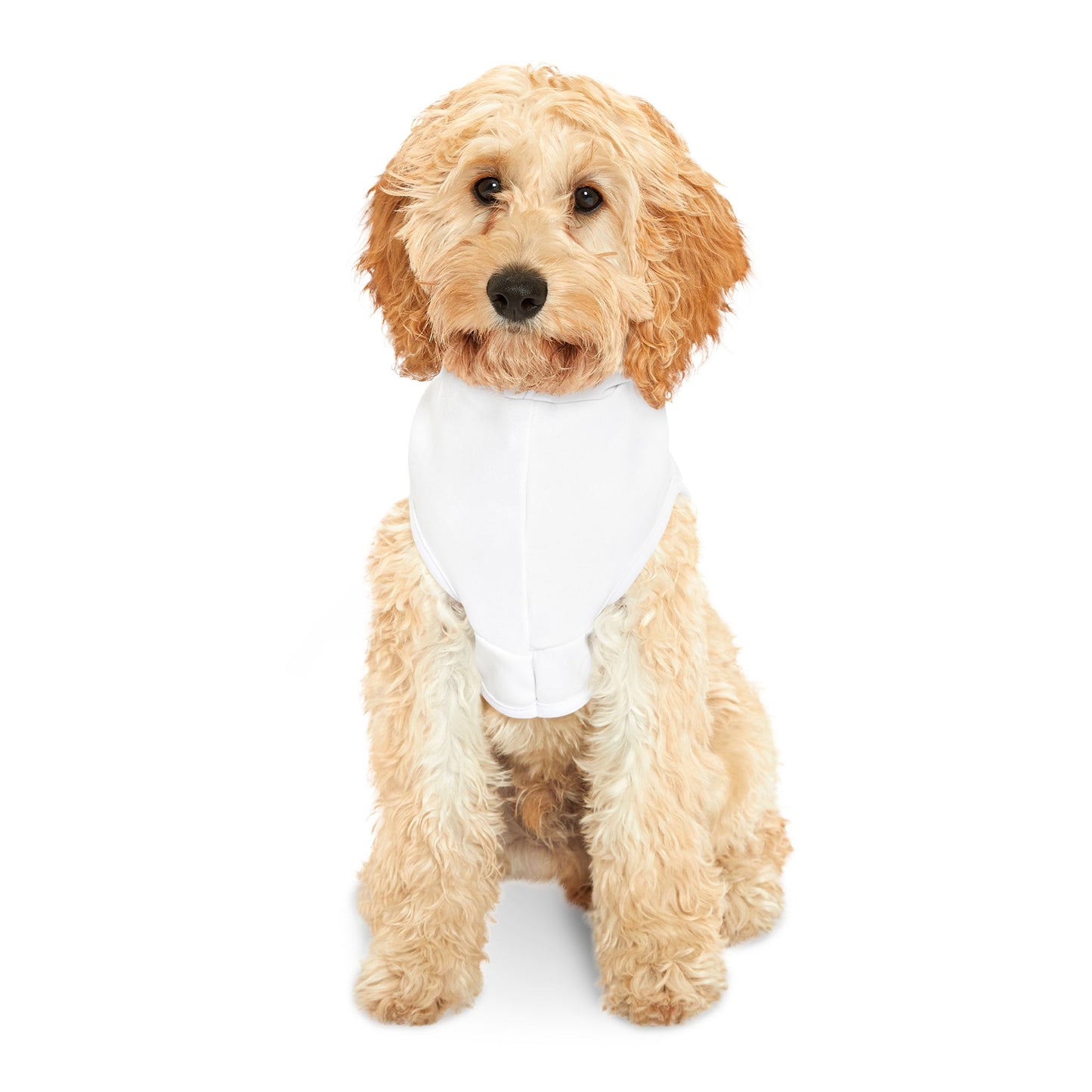 Patriotic Pet Hoodie