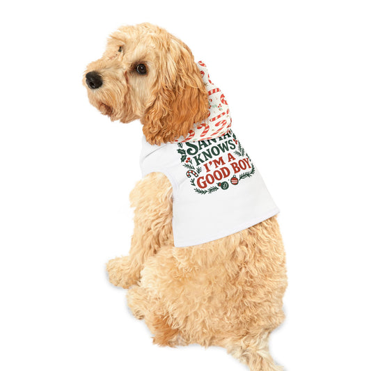 Festive Pet Hoodie for Good Boys