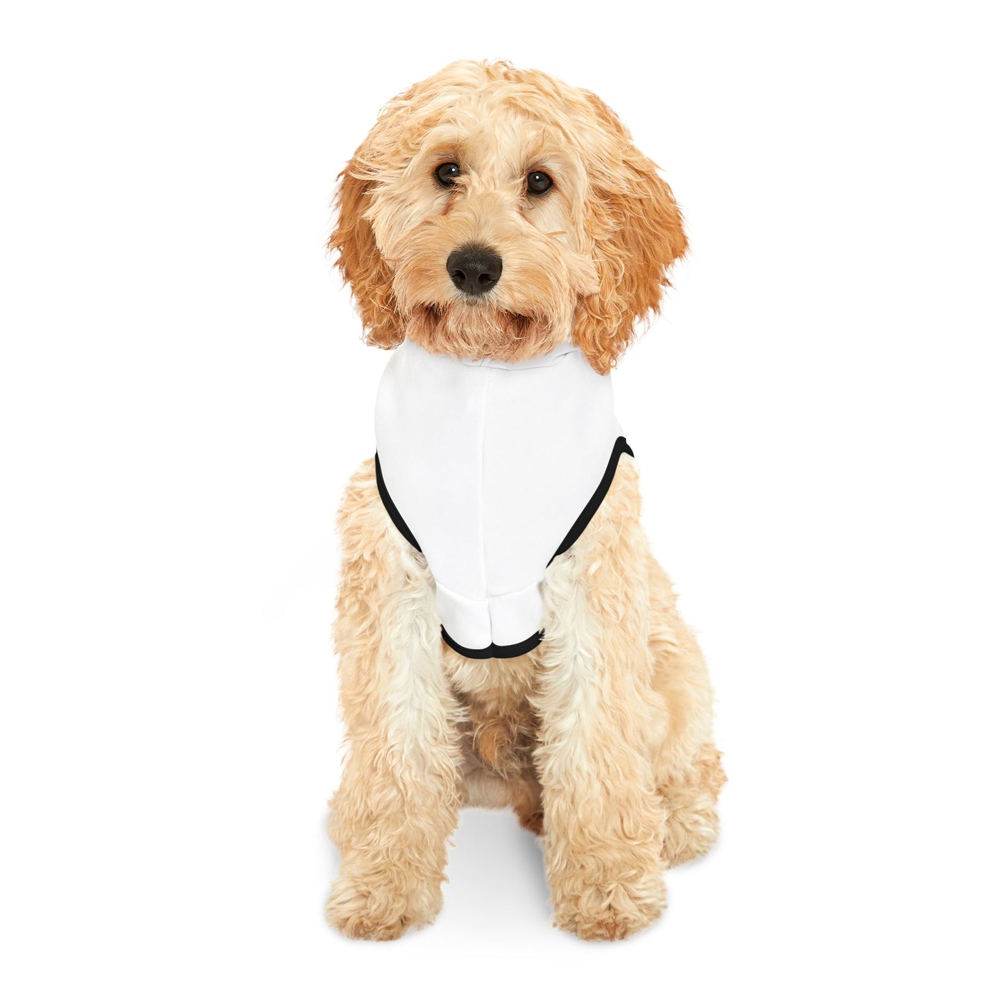 Patriotic Pet Hoodie