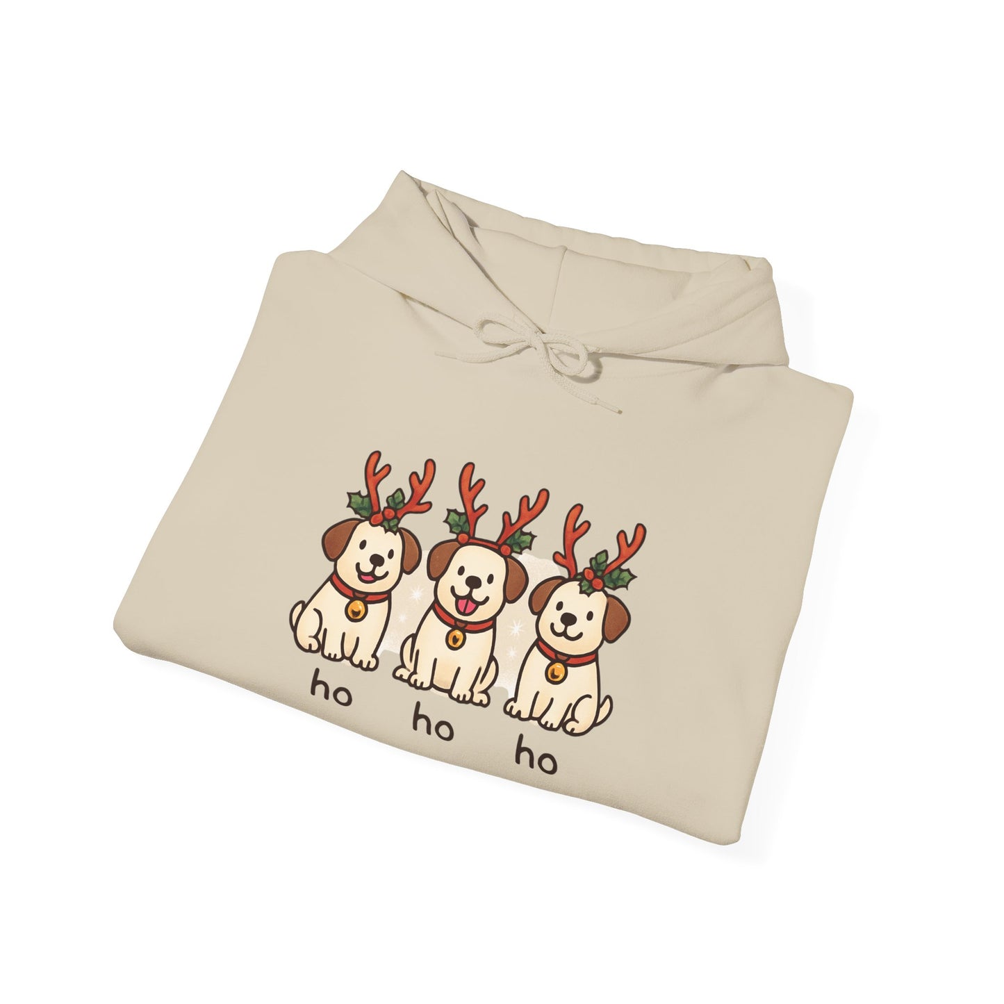 Holiday Hoodie