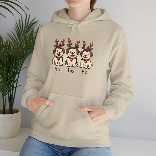 Holiday Hoodie