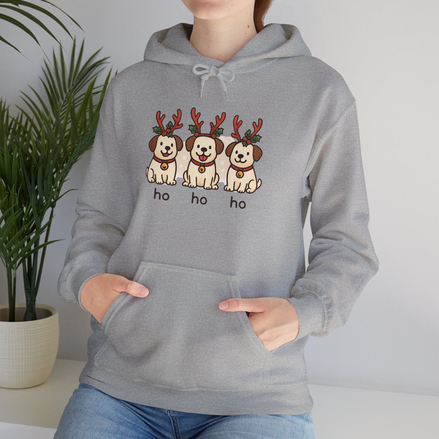 Holiday Hoodie