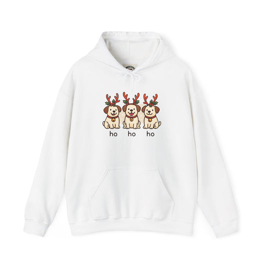 Holiday Hoodie