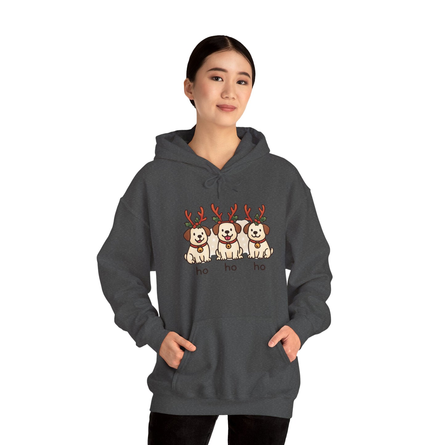Holiday Hoodie
