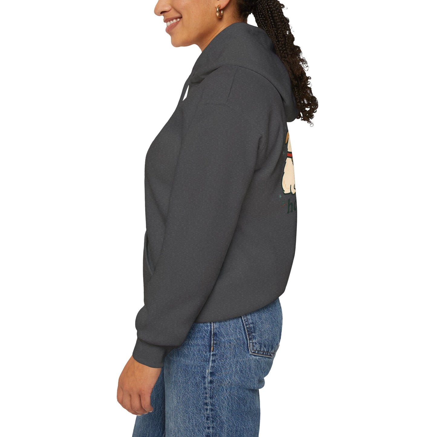 Holiday Hoodie
