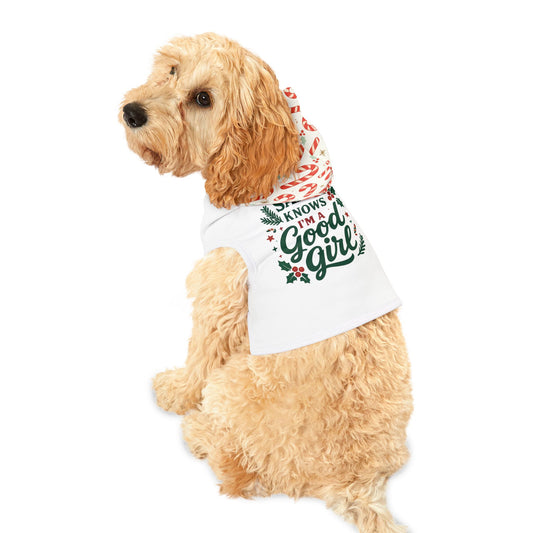 Festive Pet Hoodie for Holiday Cheer