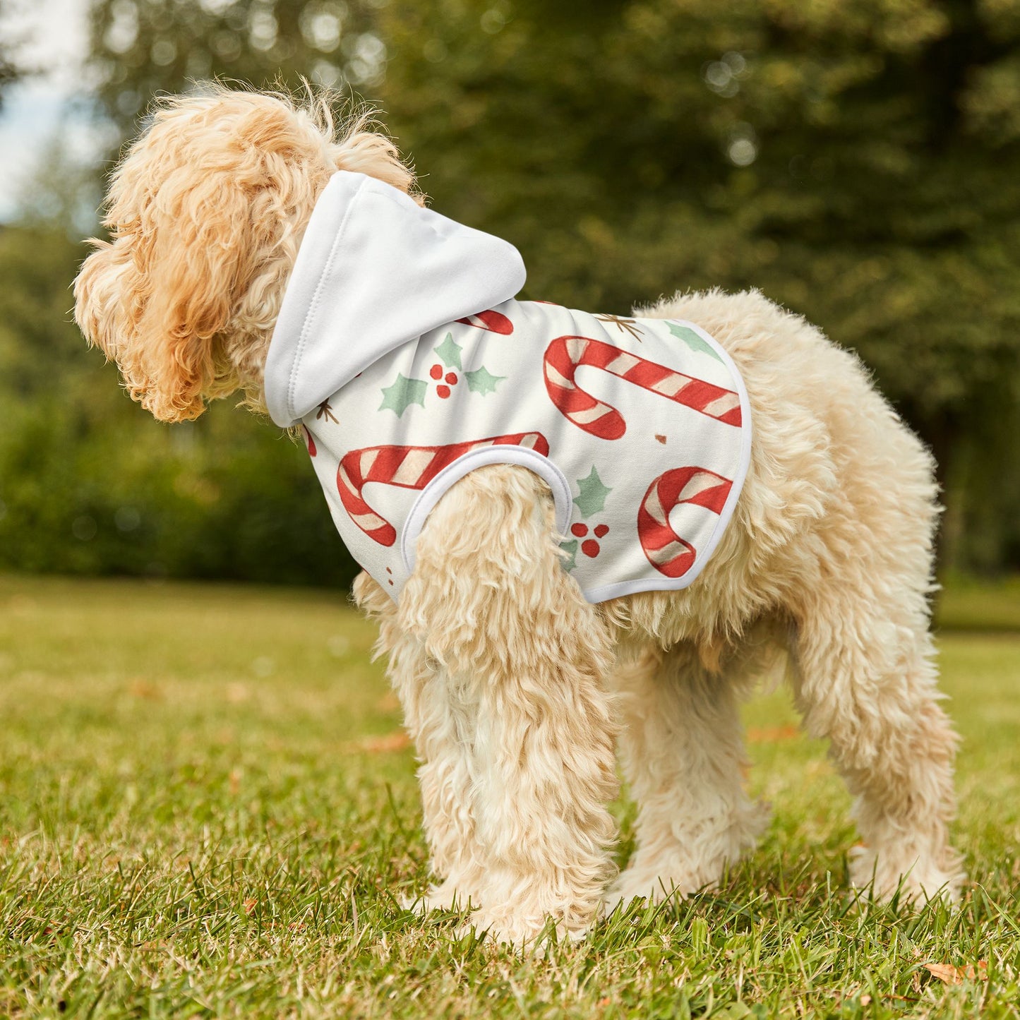Candy Cane Pet Hoodie